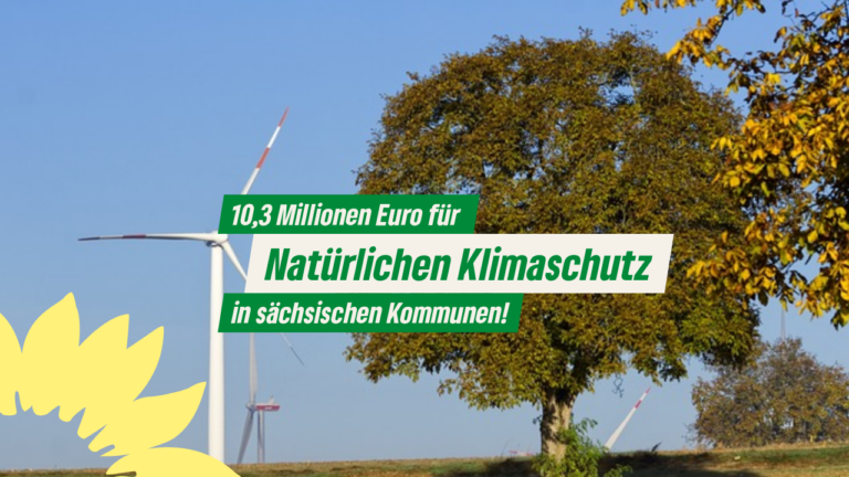 10,3 Millionen für Natürlichen Klimaschutz in sächsischen Kommunen