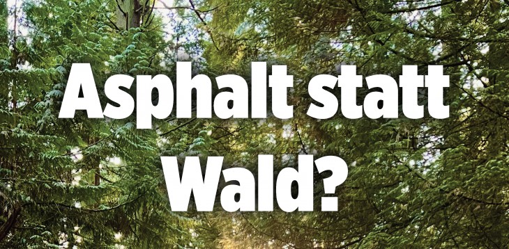 Asphalt statt Wald ?